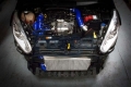 Hadicový kit Forge Motorsport Ford Fiesta Mk6 1.0T EcoBoost (08-)
