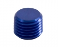 Záslepka 1/8" NPT imbusová
