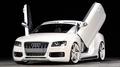 Vertikální otevírání dveří LSD Audi A5 / S5 typ B8 (07-) | 