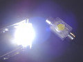 Sufitová žárovka 3175 1W SMD 36mm xenon bílá | 